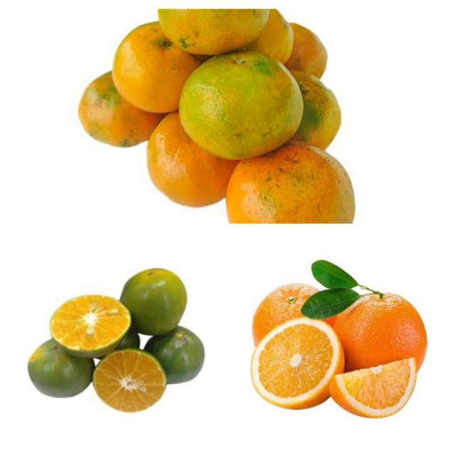 

Jeruk Peras, Jeruk Medan, Jeruk Sunkist 1 Kg
