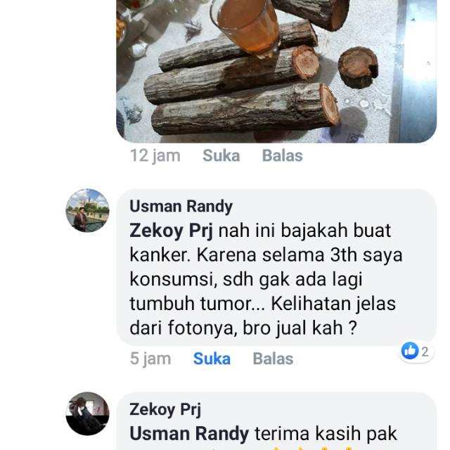 

BAJAKAH TUNGGAL ASLI