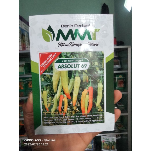 

ABSOLUT 69 Benih cabai tahan virus dari MMT