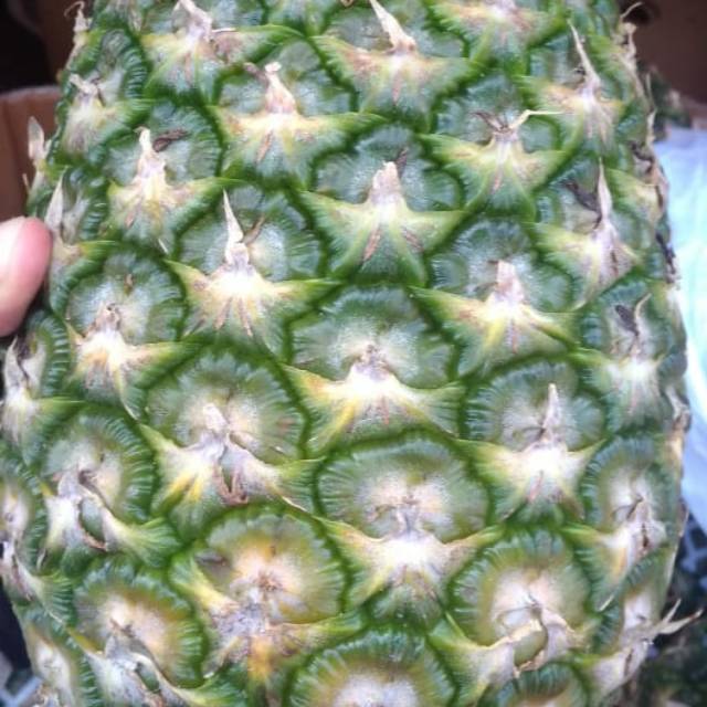 

Nanas