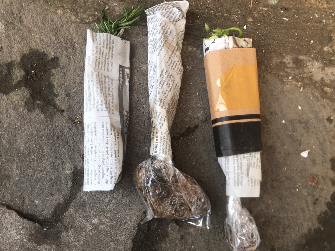 Garamalia Ataw Geranium