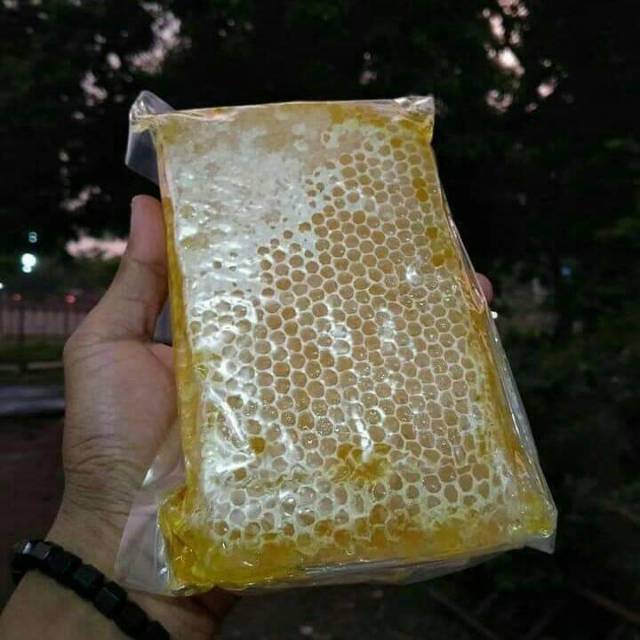 

Madu Sarang Asli 500 gram