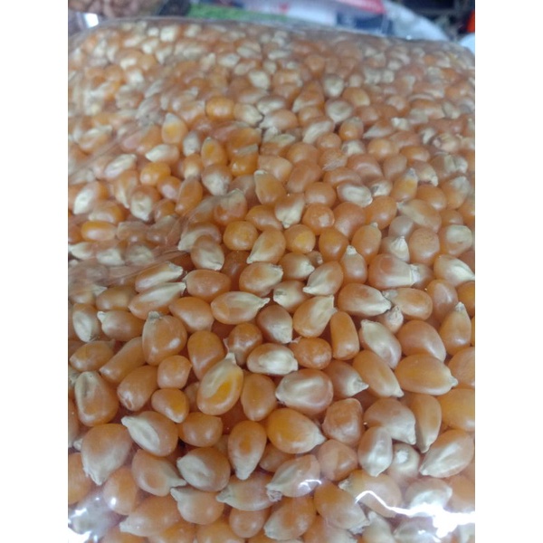 

1kg JAGUNG POPCORN