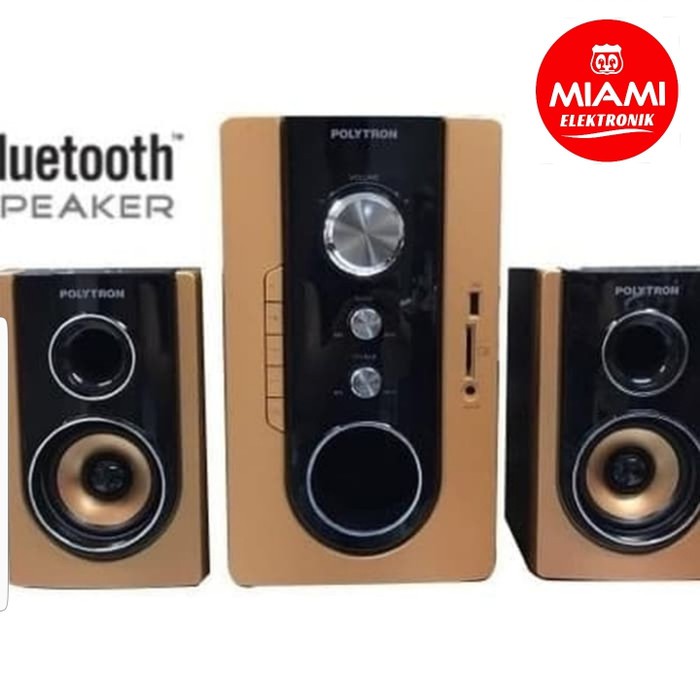 Multimedia Speaker Polytron PMA 9300 PMA9300