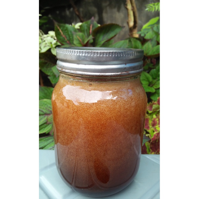 

madu- madu asli hutan jambi 1000gr -madu.