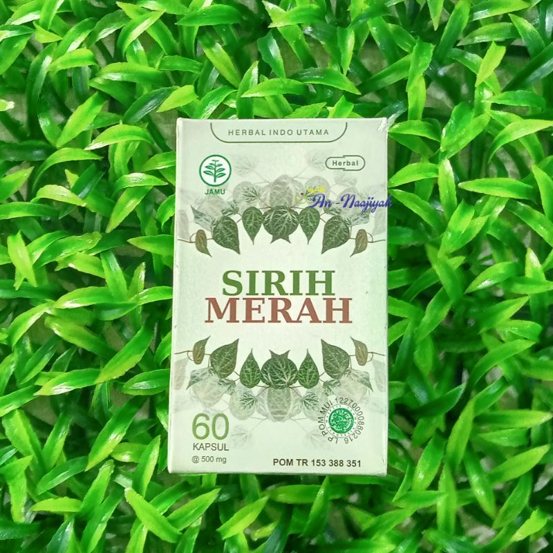 

SIRIH MERAH HIU