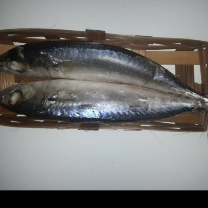 

Ikan Cuek keranjang (2ekor)