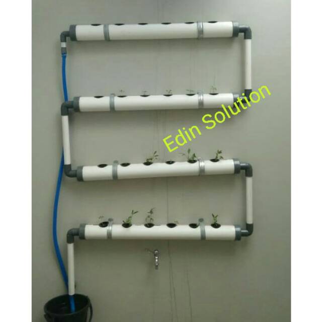 Hidroponik dinding minimalis I wall hydroponic