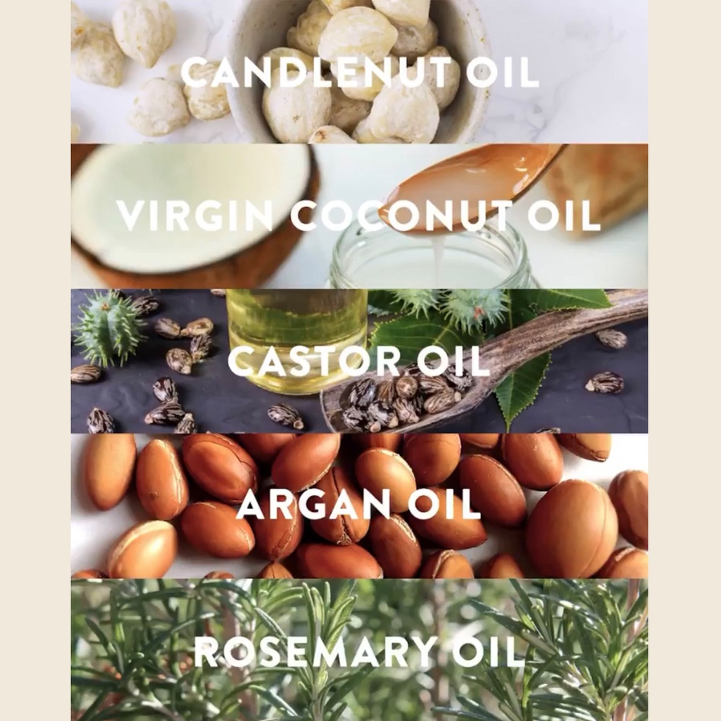 Eucalie Organic Hair Growth Oil & Scalp Treatment - Power 10+ (Rontok, Rusak, Ketombe, Sensitif)-3