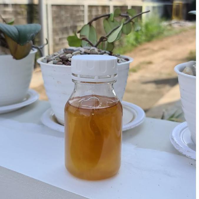 

Madu Kelengkeng Curah Isi Bersih 300g