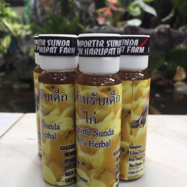 Obat tetes mata ayam