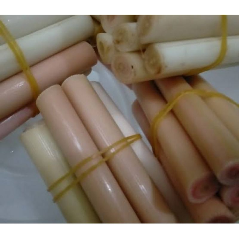 

batang kecombrang muda 1 kg