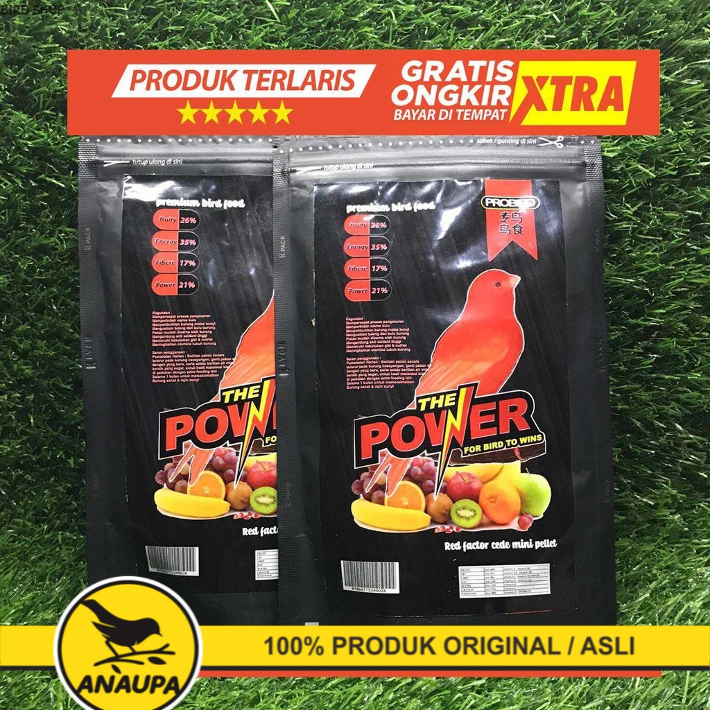 THE POWER RED CEDE MAKANAN KENARI