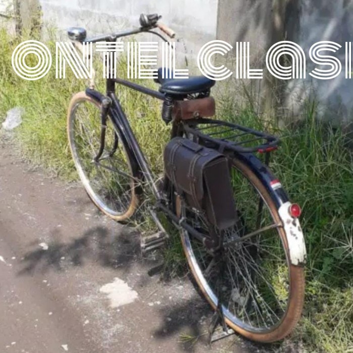 Aksesoris Sepeda - Tas Samping Sepeda Ontel Kulit Corak Buaya