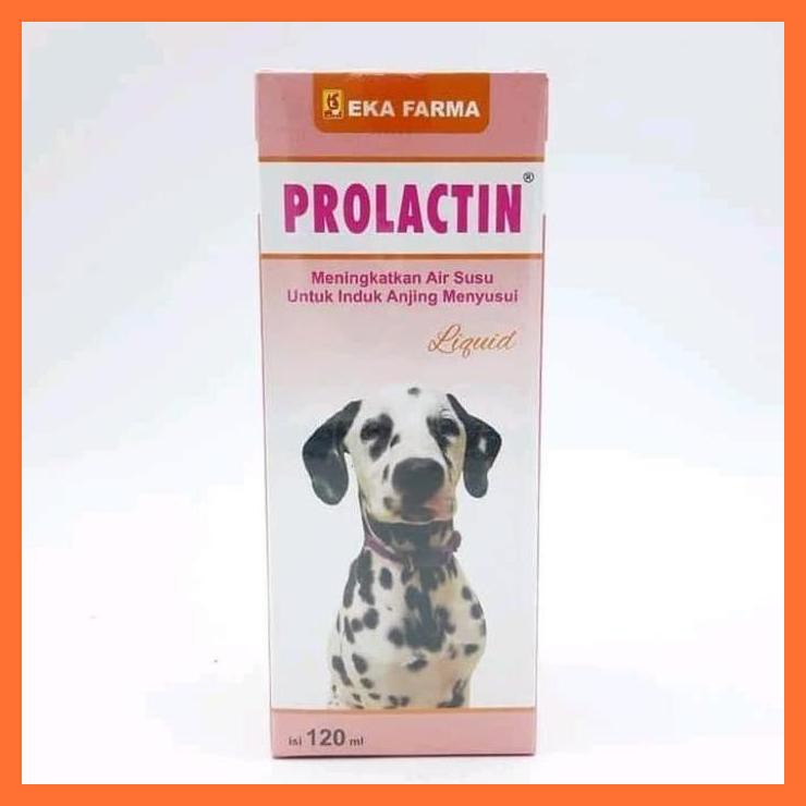 Vitamin Untuk Induk Anjing Menyusui Vitamin Hewan