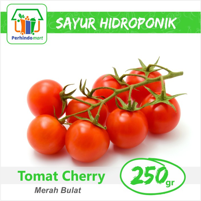 Tomat Cherry Hidroponik (Surabaya & Sidoarjo)