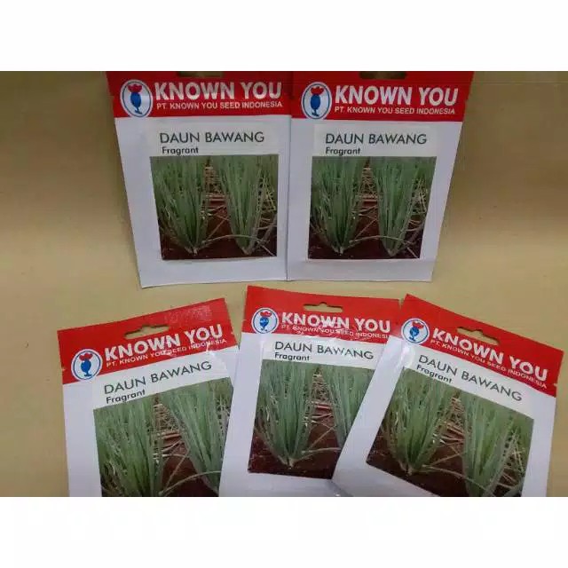 BENIH DAUN BAWANG FRAGRANT KYS