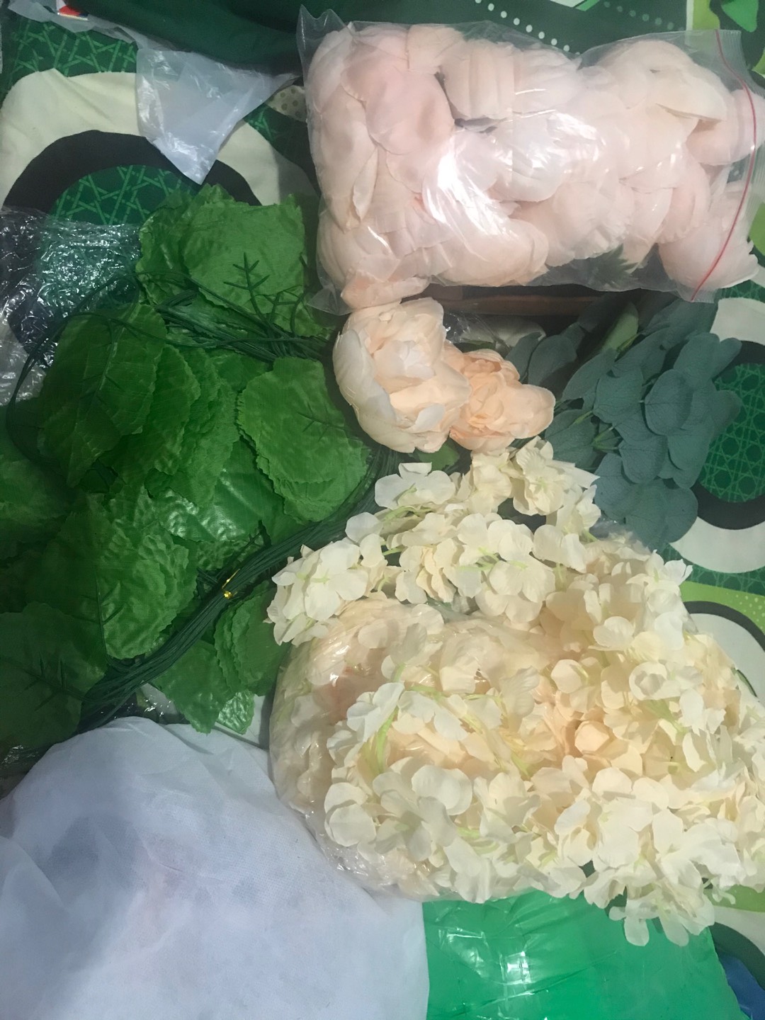 Wanflower Bunga Juntai Wisteria 2m * Champagne Muda