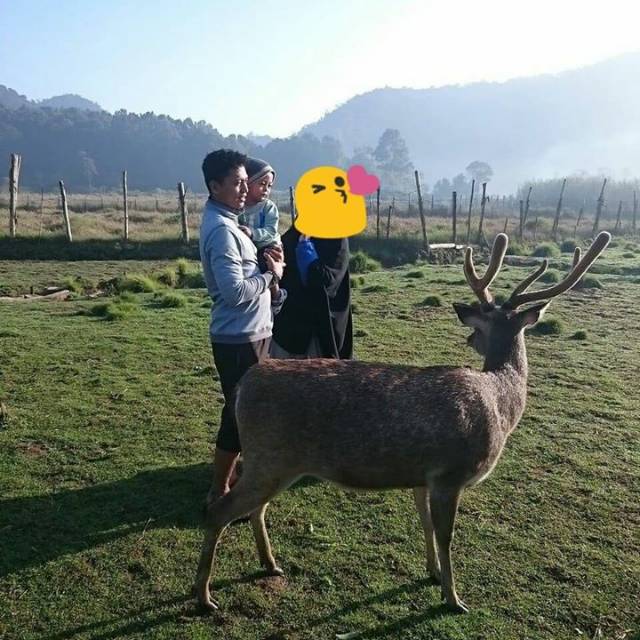 abyucupipin
