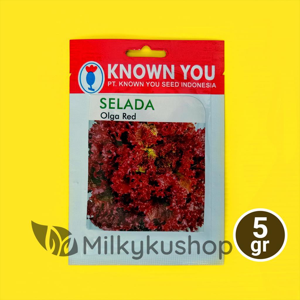 BENIH KYS KNOWN YOU SEED OLGA RED SELADA 5 GRAM KEMASAN PABRIK