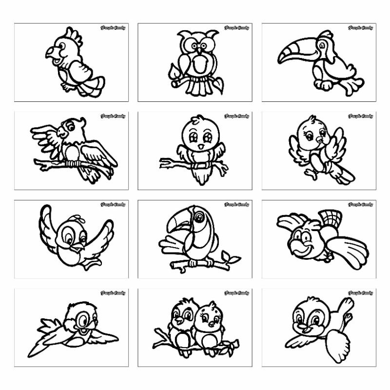 

Kertas Gambar Mewarnai Untuk Anak (12 Lembar) Tema "Burung
