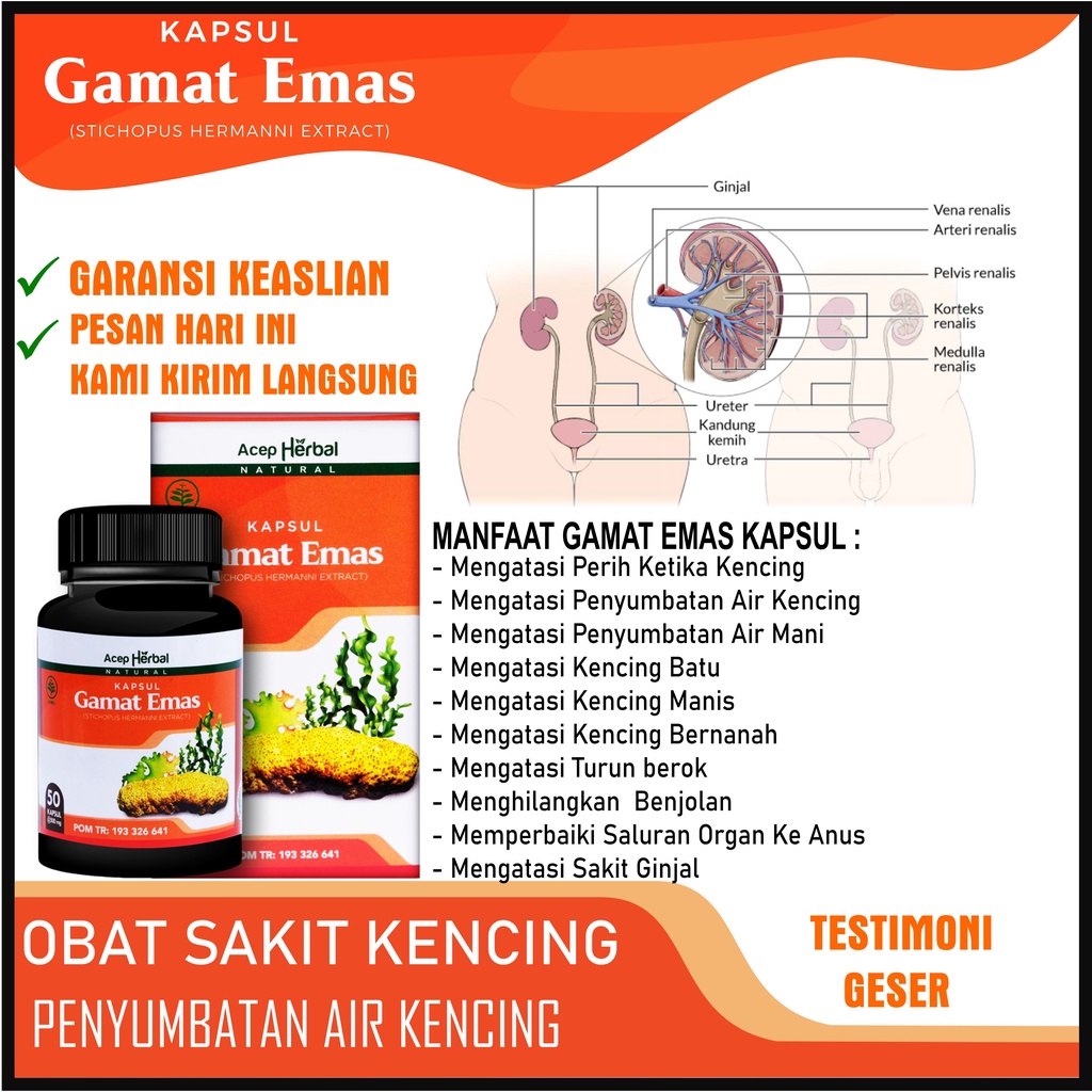 Obat Saluran Air Kencing Tersumbat, Perih Ketika Kencing, Pria Dan Wanita, Kencing Batu, Kencing Man