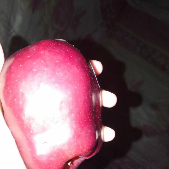 

Apel Malang