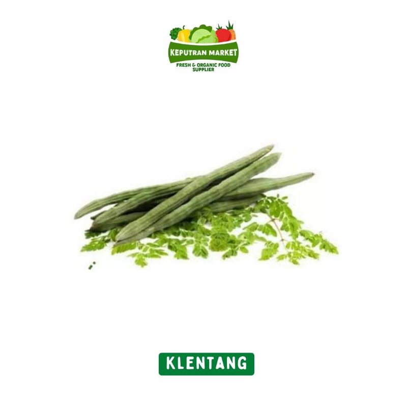 

Klentang / Buah Kelor Per Ikat / Produk Langka