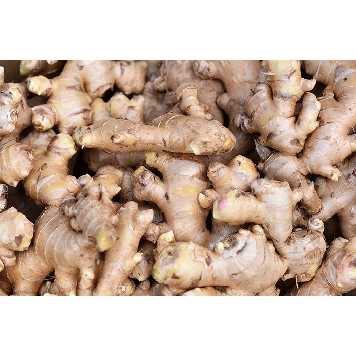

Jahe Sayurang Tangerang 250 Gram
