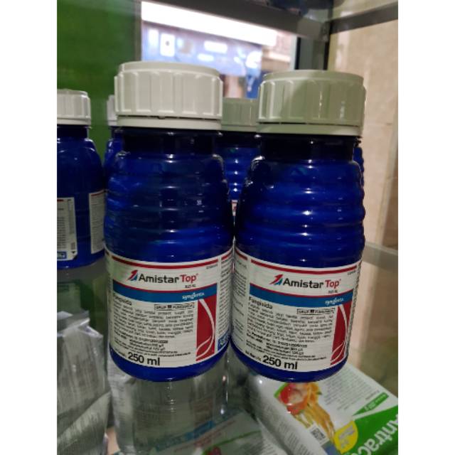 Amistartop 250ml fungisida