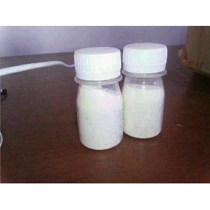 Dijual Biang susu Prancis Berkualitas