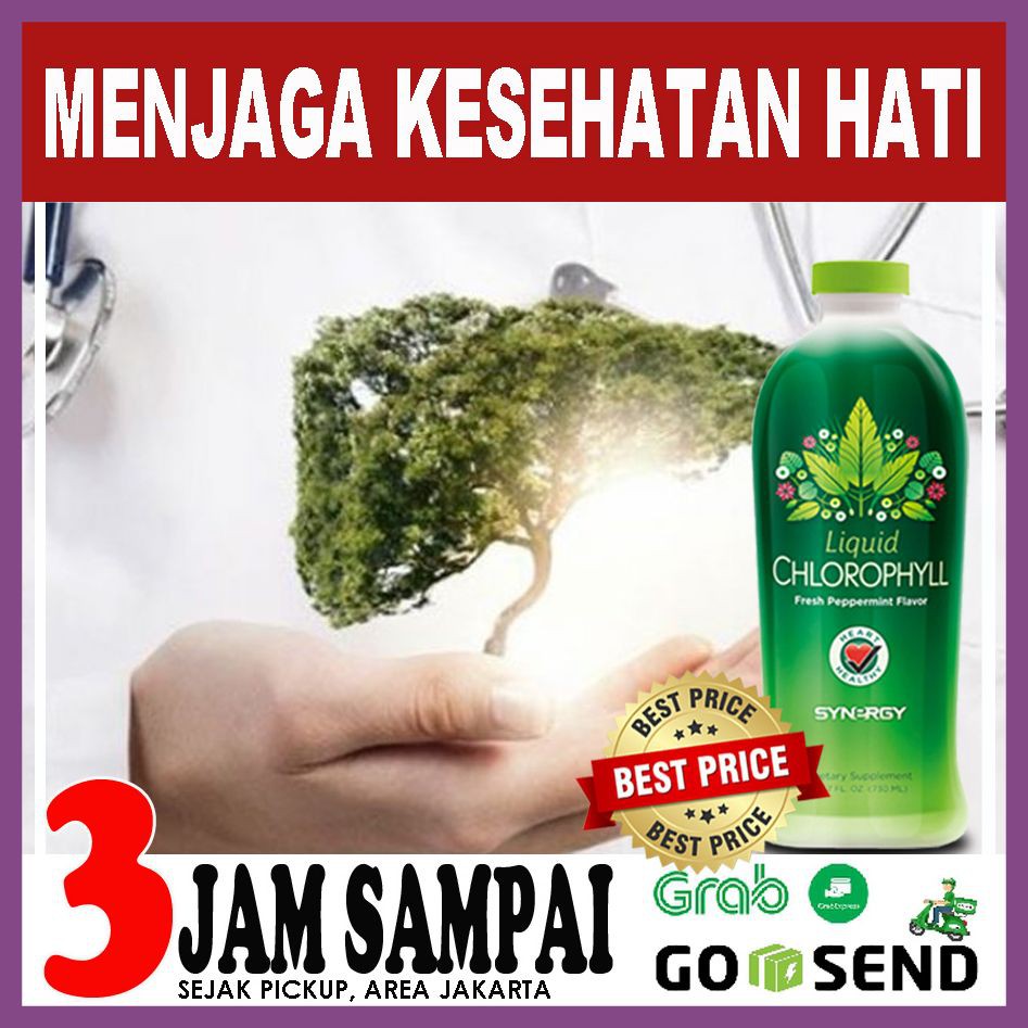 CHLOROPHYLL PLUS GANGGUAN LIVER / HATI Chlorophyll Plus Synergy