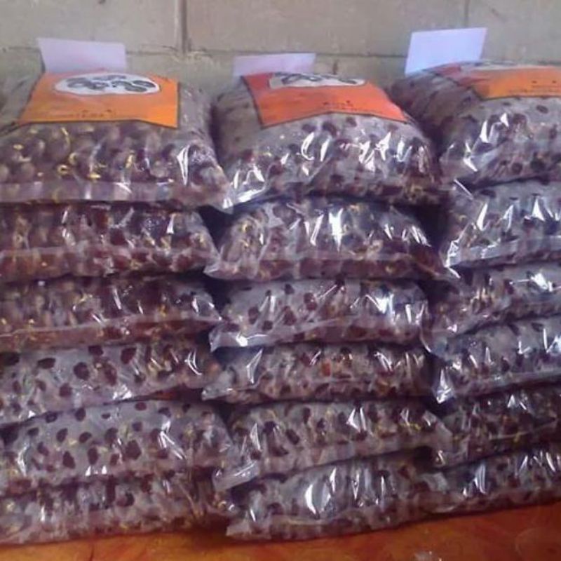 BIBIT karet unggul klon BPM 24 MEDAN