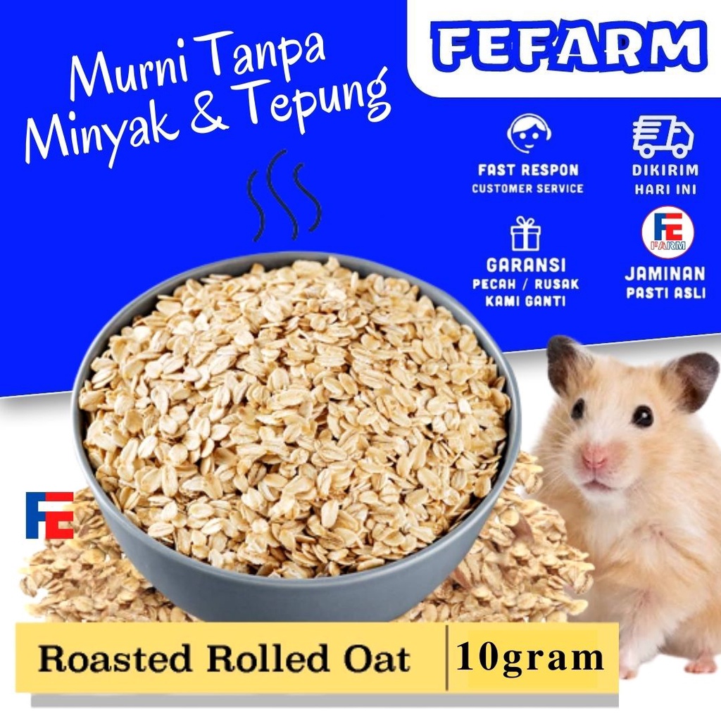 Rolled Oat 10gr Cemilan Hamster Makanan Hamster FEFARM