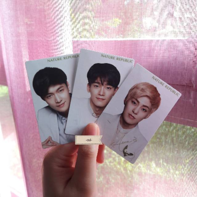 Nature Republic Hand Cream X EXO (PC Only)