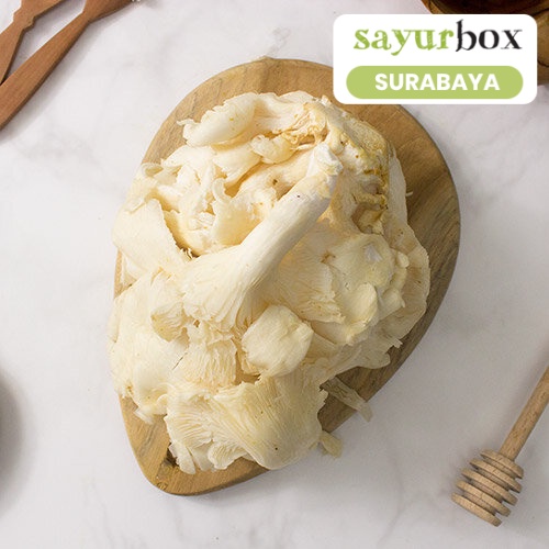 

Jamur Tiram Conventional 1 kg (Sayurbox) - SURABAYA
