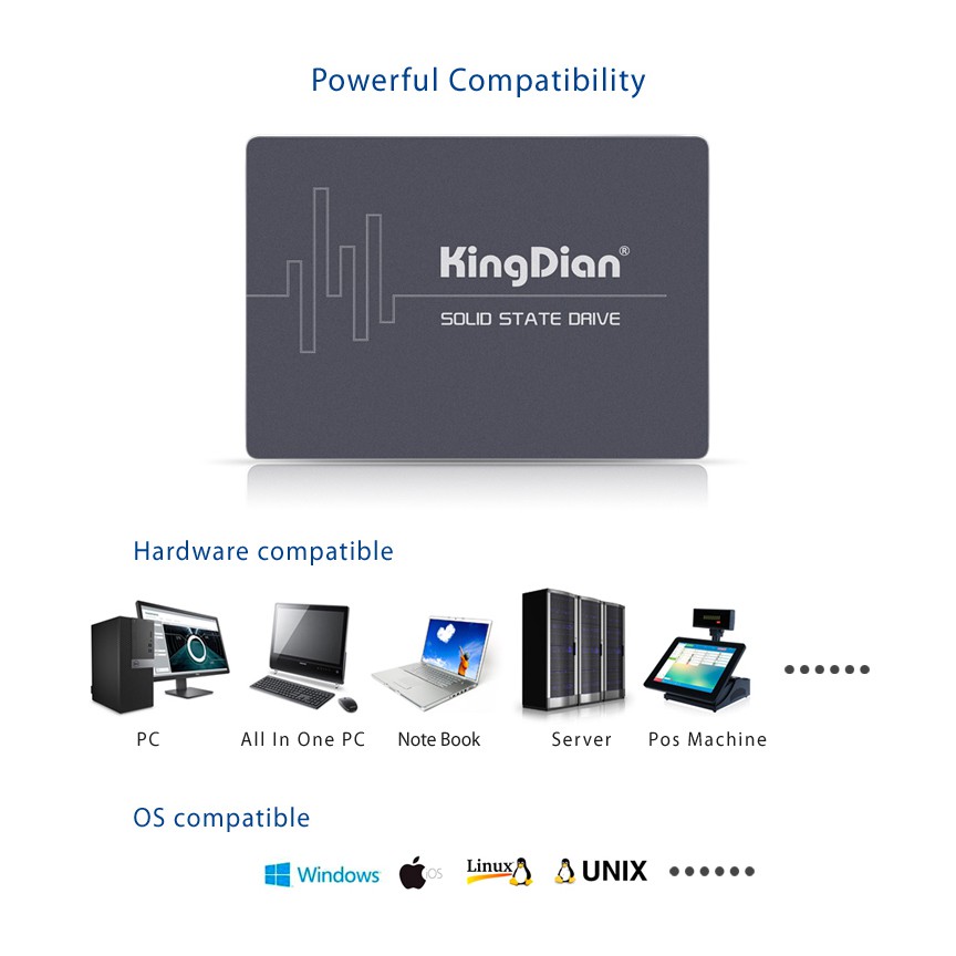 SSD KINGDIAN 256GB