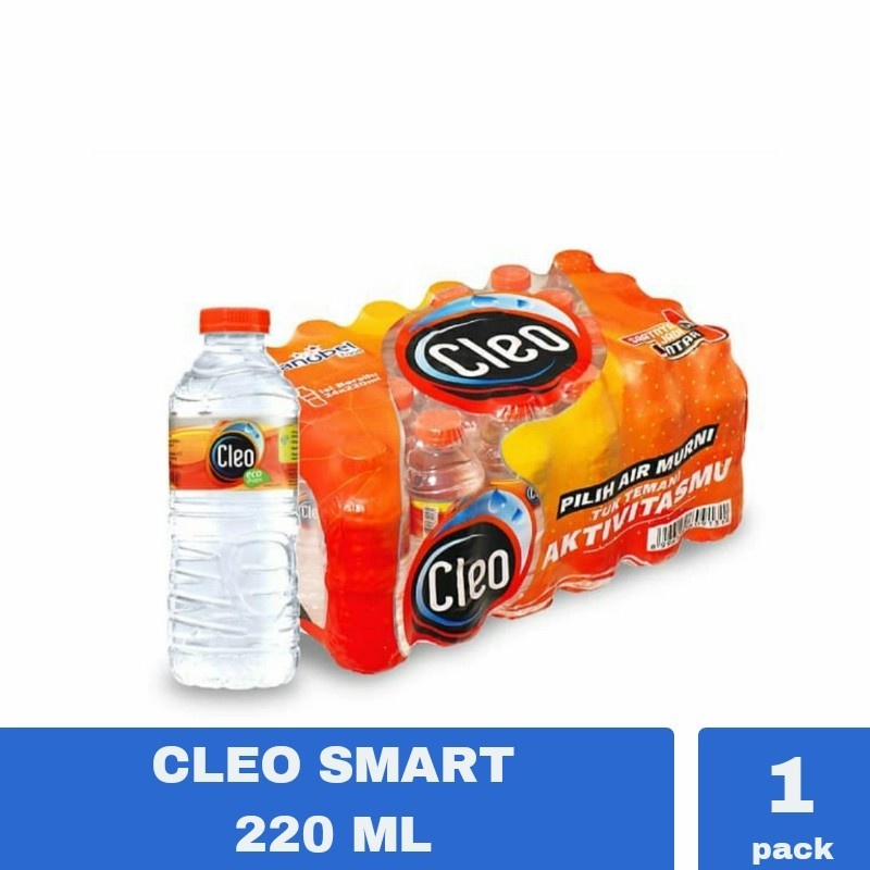 

CLEO SMART AIR MINERAL 220ML PACK ISI 24 BOTOL