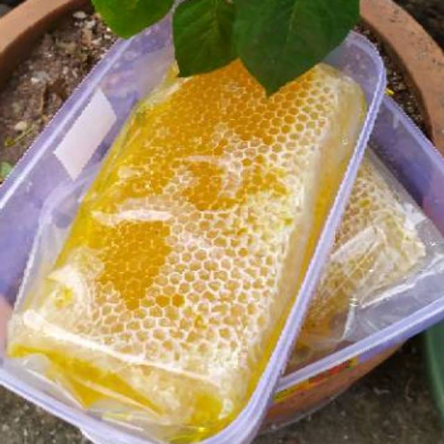 

(Promo Terbatas) Madu Sarang Asli 500 gram Apis Mellifera & Cerana
