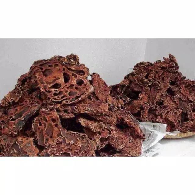 Sarang semut asli papua 500gr