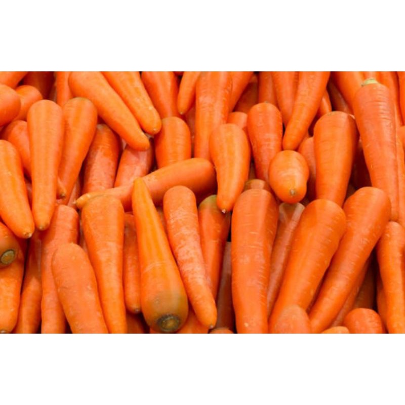 

Wortel fresh / Wortel 1kg / Termurah