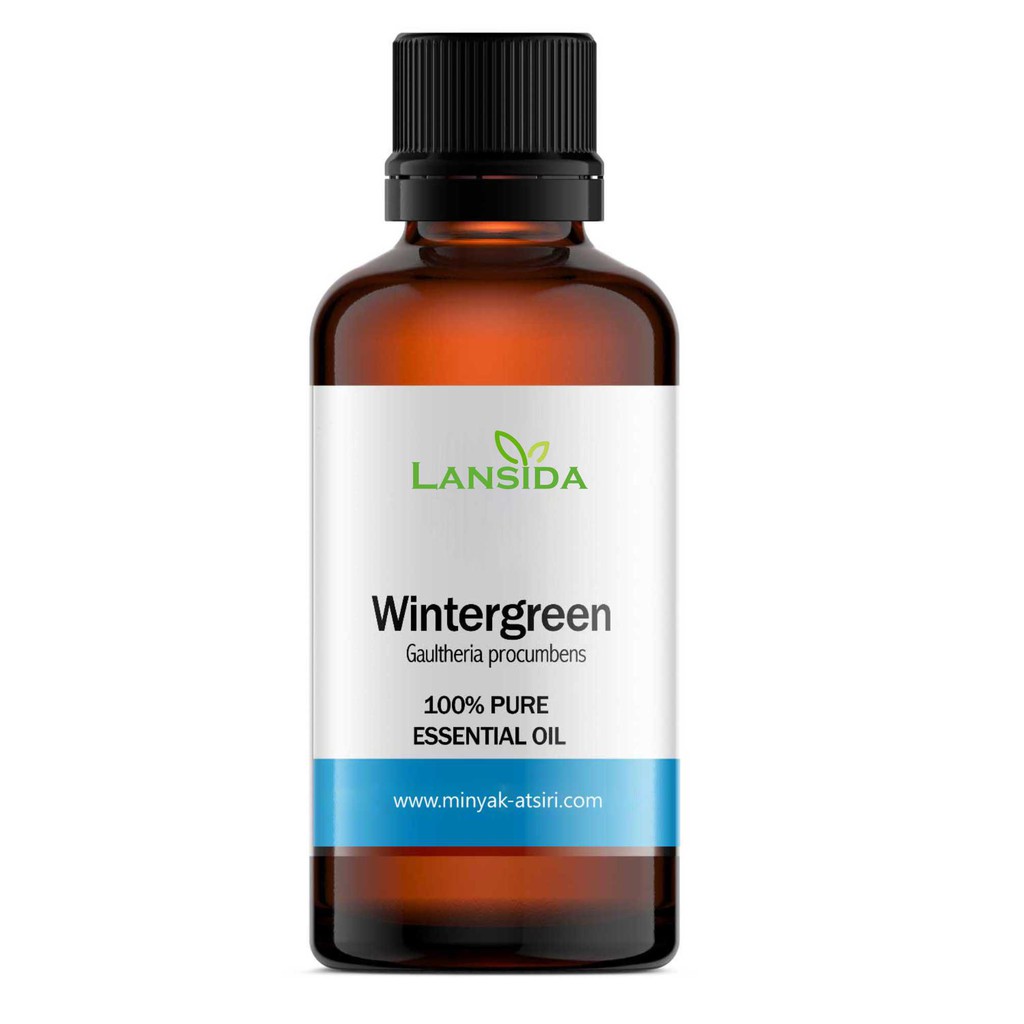 Wintergreen Essential Oil 25 ml Minyak Atsiri Gandapura Gondopuro Murni Gaultheria procumbens