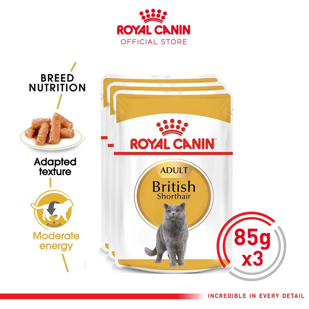 JACKPET Royal Canin British Shorthair Adult (85g x 3 packs) Wet Makanan Kucing Dewasa - Feline Breed Nutrition