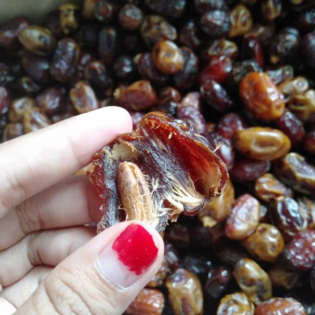 

KURMA al-saad