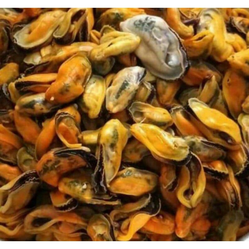 

daging kerang ijo, kerang ijo kupas