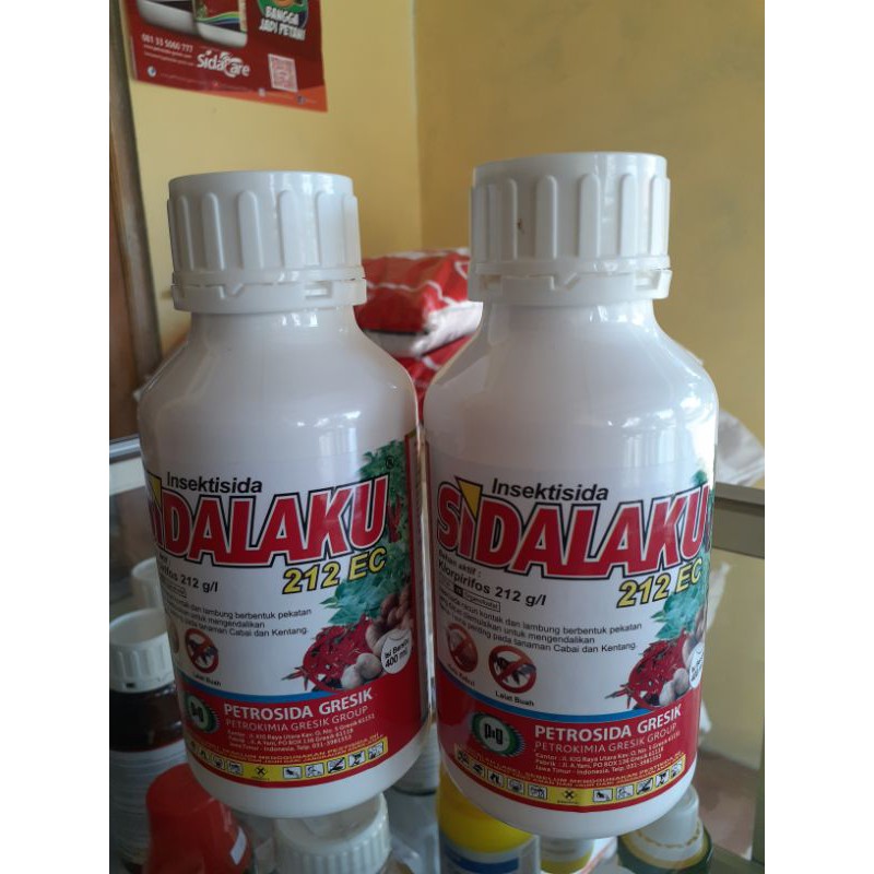 INSEKTISIDA:SIDALAKU 212EC