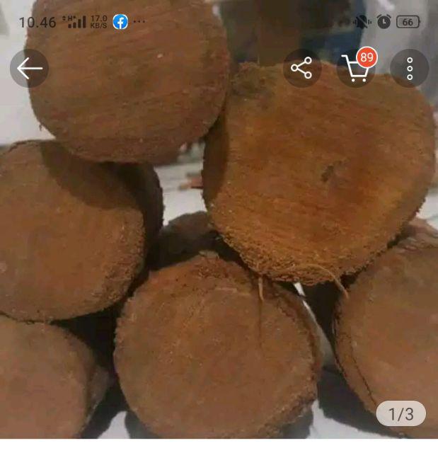 Kayu Bajakah