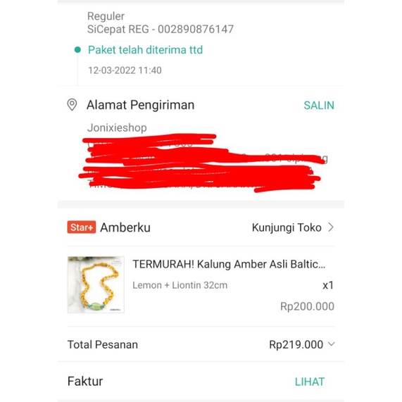 Kalung Amber Asli Baltic Bayi Balita