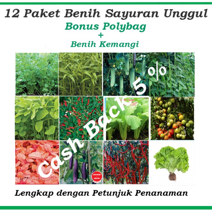 promo Paket Hemat Benih/Bibit Eceran  (Sayuran dan Buah)