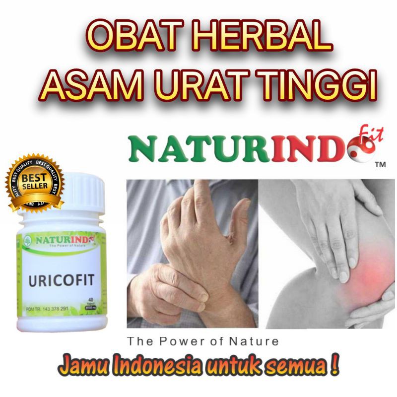 

obat asam urat nyeri sendi pegal linu herbal alami ampuh